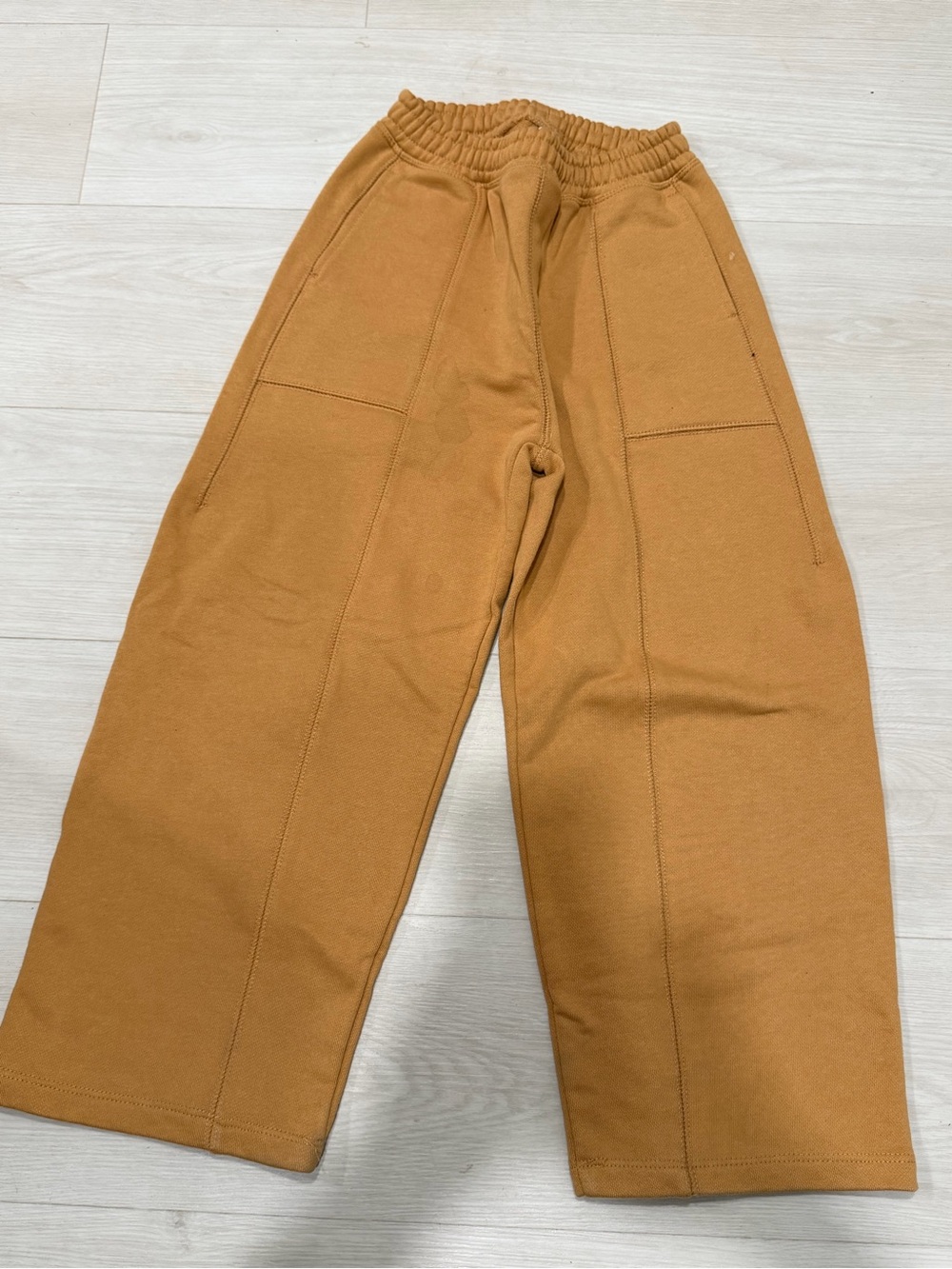 Zara Wide Leg Elastic Waist Pants in Camel